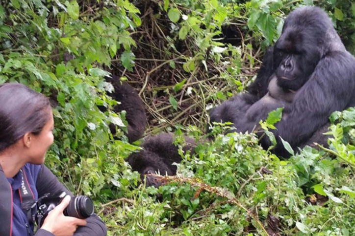 Adventurer Uganda & Rwanda Gorilla Trek