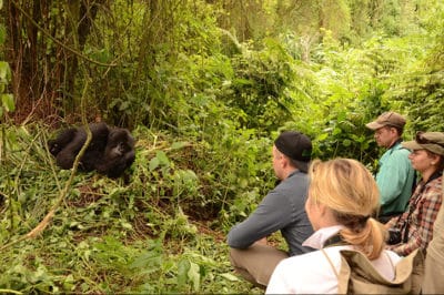Adventurer Uganda’s Fly-In Gorilla Trek