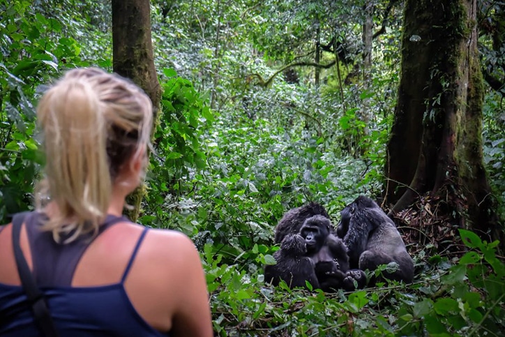 East Africa’s Kenya Safari & Uganda Gorillas