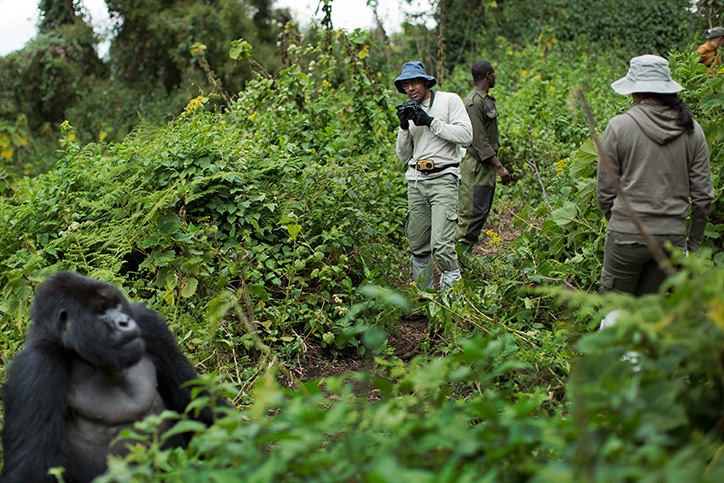 Fly-In Uganda Gorillas, Culture & Wildlife