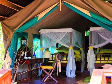 Gombe Forest Lodge
