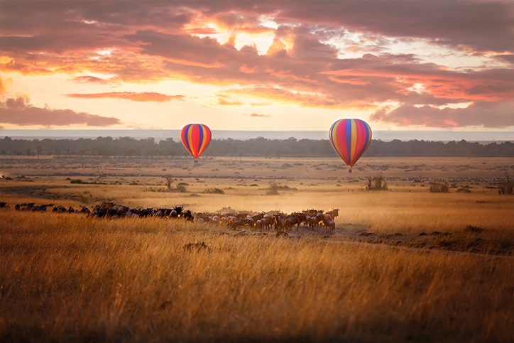Romantic Fly-In Manyara, Crater & Migration