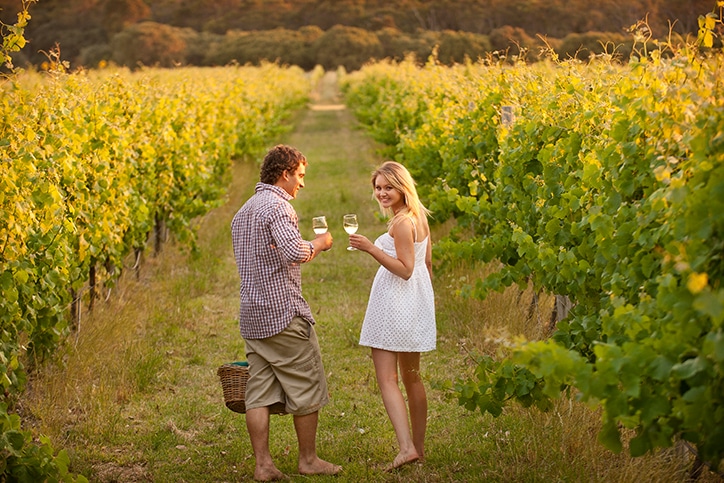 Romantic South Africa’s Winelands