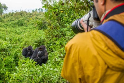 Rwanda Gorilla Encounter