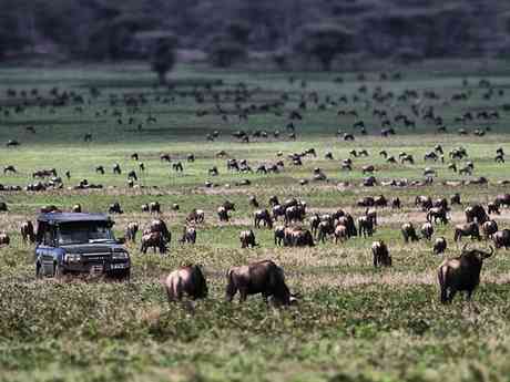 Serian’s Serengeti Mobile – Kusini